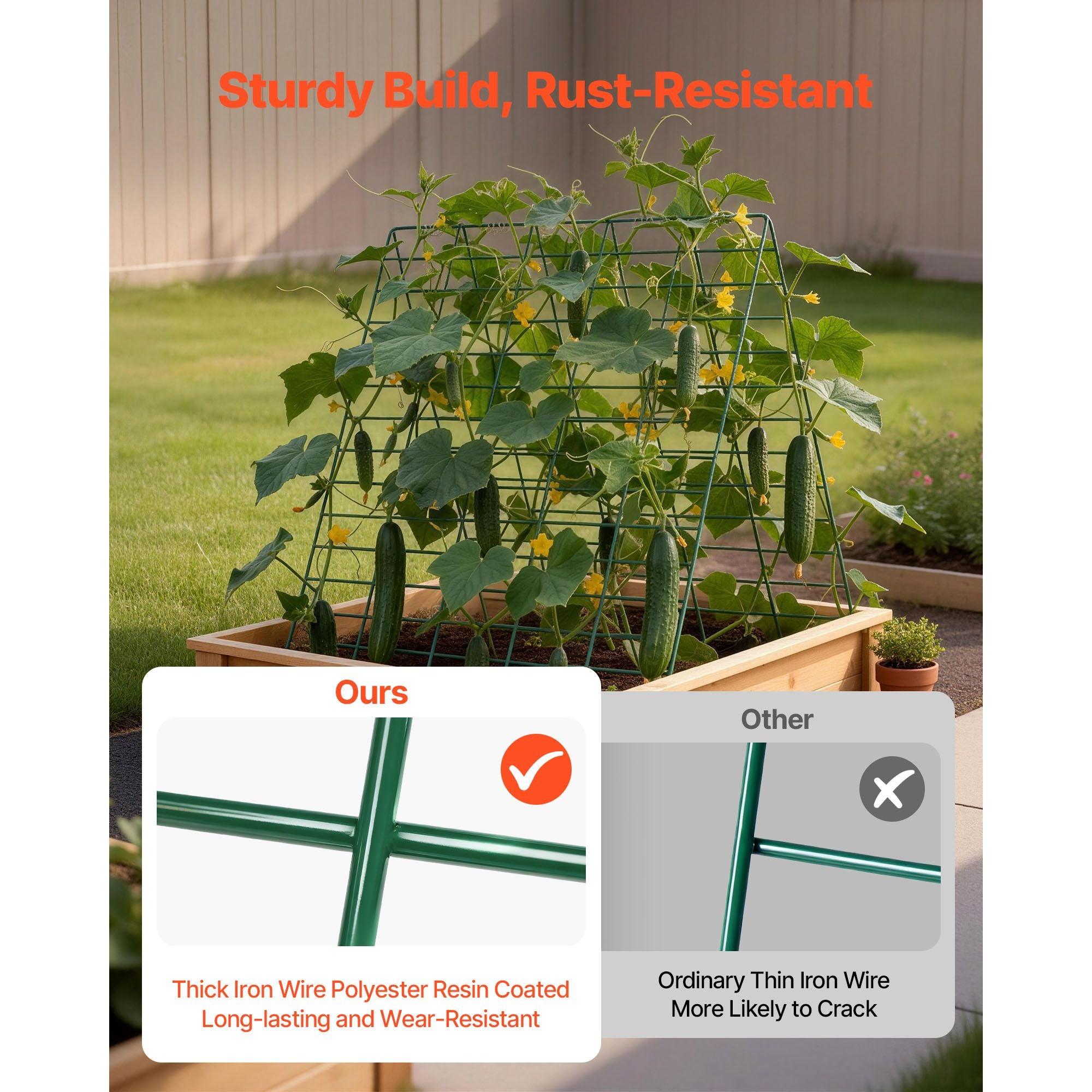 557657861